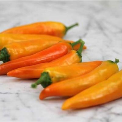 Orange Chili Pepper / Pimiento, precio por libra