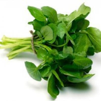 Watercress / Berro, un racimo