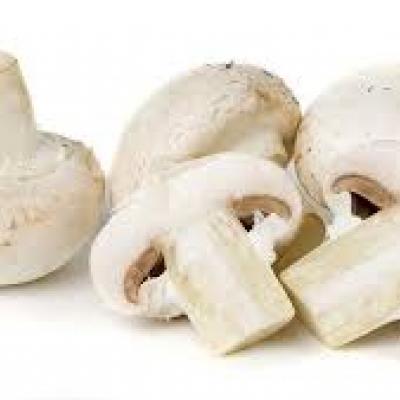 Setas Blancas / Whole White Mushrooms (PR), 8 oz