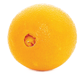 China Nebo / Navel Orange, 3 lbs