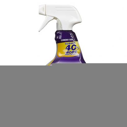 Formula 409 Glass and Surface Cleaner, 32 fl oz