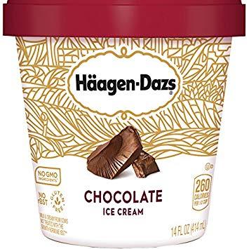 Haagen Dazs Chocolate Ice Cream, 1 pt