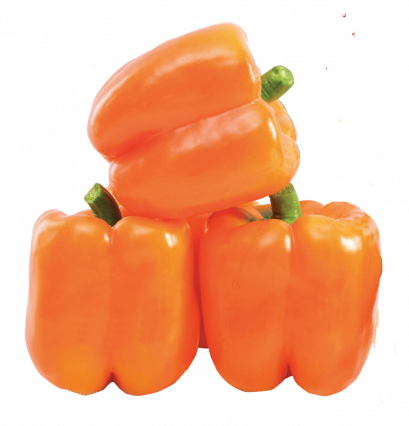 Orange Bell Pepper / Pimiento, precio por libra