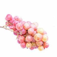 Pink Muscat Grapes / Uvas Moscatel Rosadas (Chile), por libra