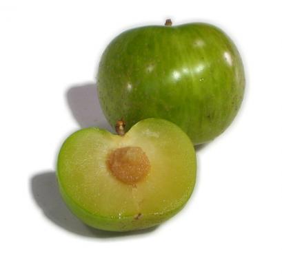 Pluot Green / Ciruela Albaricoque, precio por libra