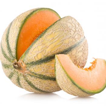 Tuscan Melon, 1 ct