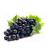 Uvas Negras Pretty Lady / Black Grapes, precio por libra