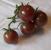 Brown Cherry Tomatoes, 10 oz