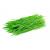 Wheatgrass / Pasto de Trigo (PR), 8 oz