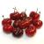 Cherries (Chile) / Cerezas, por libra