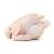 Pollo Entero Grado A / Grade A Whole Chicken, precio por libra