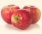 Organic Honey Crisp Apples / Manzanas, por libra