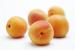 Apricots / Albaricoques